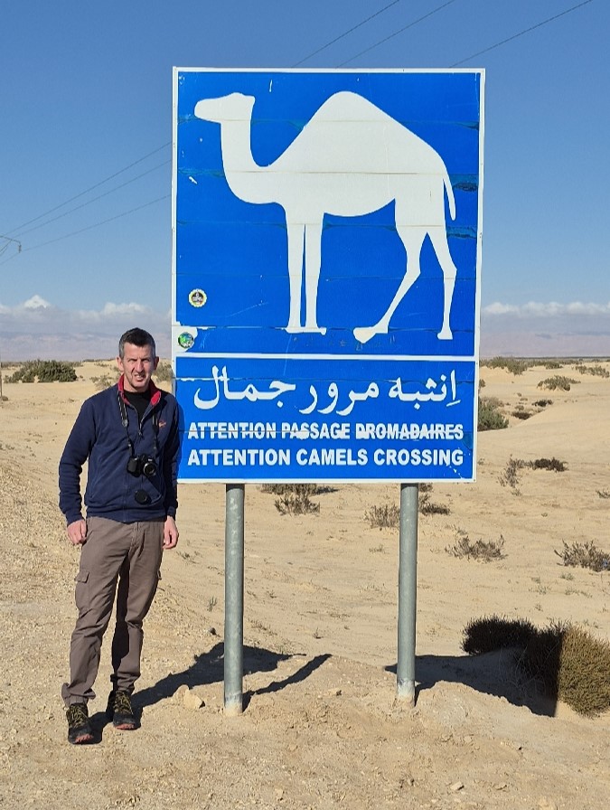 36 Chott el Jarid Lago Salato